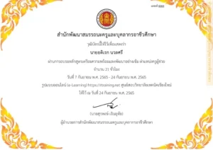 หลักสูตรเตรียมความพร้อมและพัฒนาอย่างเข้มข้น​