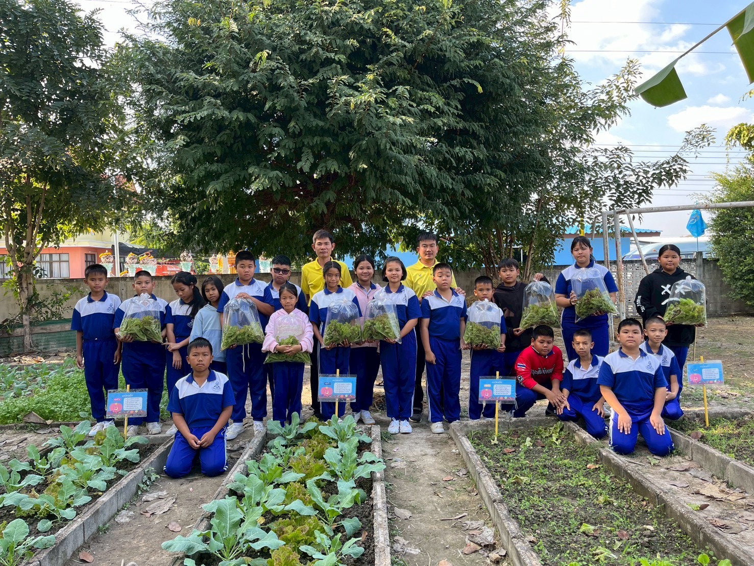 สร้างสรรค์โครงการและสนับสนุนทุนทรัพย์จัดตั้งกิจกรรมส่งเสริมทักษะอาชีพ   ณ โรงเรียนบ้านจัววิทยา